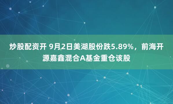 炒股配资开 9月2日美湖股份跌5.89%，前海开源嘉鑫混合A基金重仓该股